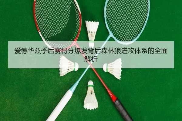 爱德华兹季后赛得分爆发背后森林狼进攻体系的全面解析